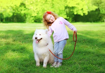 Happy Child With White Samoyed Dog On The Grass In Sunny Summer Day